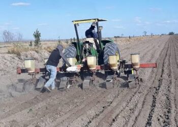 Heladas frenan las siembras