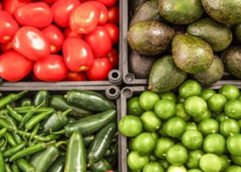 Limón, aguacate y chile ¡por las nubes! Alcanzan precios máximos