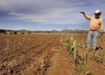 Sequía alcanza 66.21% del territorio de México