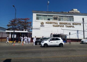 Siguen apareciendo mapaches en el ISSSTE-Tampico