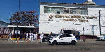 Siguen apareciendo mapaches en el ISSSTE-Tampico