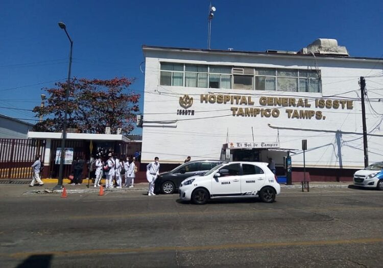 Siguen apareciendo mapaches en el ISSSTE-Tampico
