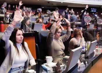 Aprueba Senado proyecto de alcances de concepto de propaganda gubernamental