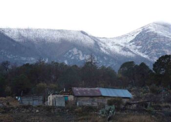 Frente frío 31 provoca bajas temperaturas  en zonas altas del norte, noreste y centro del país
