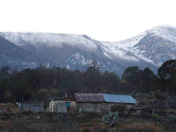 Frente frío 31 provoca bajas temperaturas  en zonas altas del norte, noreste y centro del país