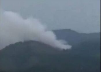 Avión con 132 personas a bordo se estrella en China