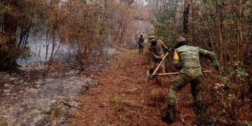 Apoya SEDENA acciones para controlar incendio en Biósfera “El Cielo”