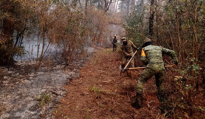 Apoya SEDENA acciones para controlar incendio en Biósfera “El Cielo”