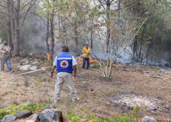 Avanza control del incendio en reserva ecológica “El Cielo” en Gómez Farías