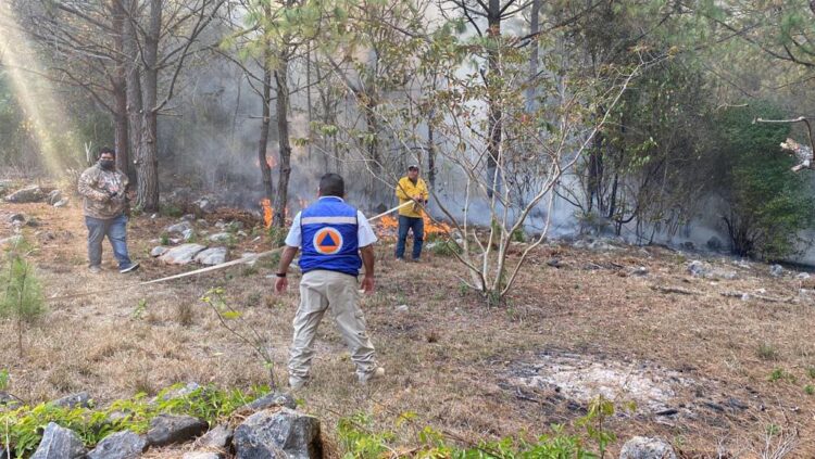 Avanza control del incendio en reserva ecológica “El Cielo” en Gómez Farías