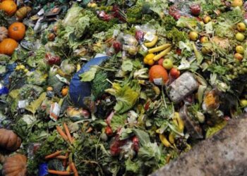 Desperdiciar comida calienta al planeta; América Latina tiene mayor pérdida