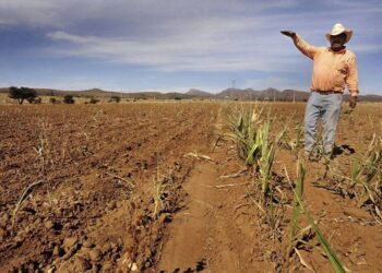 Sequía repunta en 7.3% con respecto al año pasado