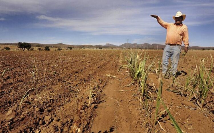 Sequía repunta en 7.3% con respecto al año pasado