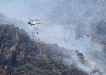 Destruye fuego en 333 hectáreas en reserva ecológica “El Cielo” en sur de Tamaulipas