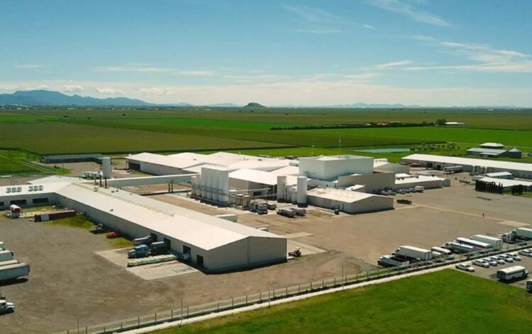 Aprueban acuñar moneda conmemorativa de 100 años de la llegada de menonitas a México