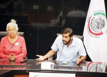 Realizarán siembra nacional de cannabis; campesinos y ONG van al Senado