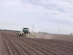 Pobre avance de siembras en el distrito de riego Bajo Río Bravo