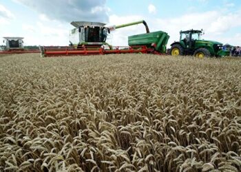 Advierten expertos sobre escasez y aumento de precio en alimentos por guerra