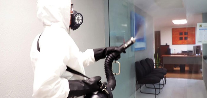 Tipos de arañas en Chihuahua