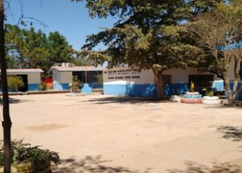 Las abejas atacan a los alumnos y maestras en el plantel educativo