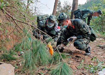 Buscan entre restos de avionazo en China