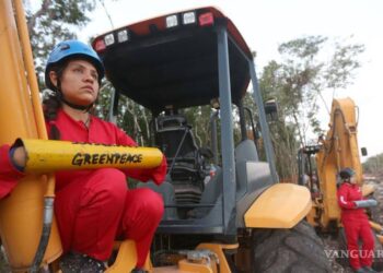 Greenpeace clausura ultimo tramo de obras del tren maya