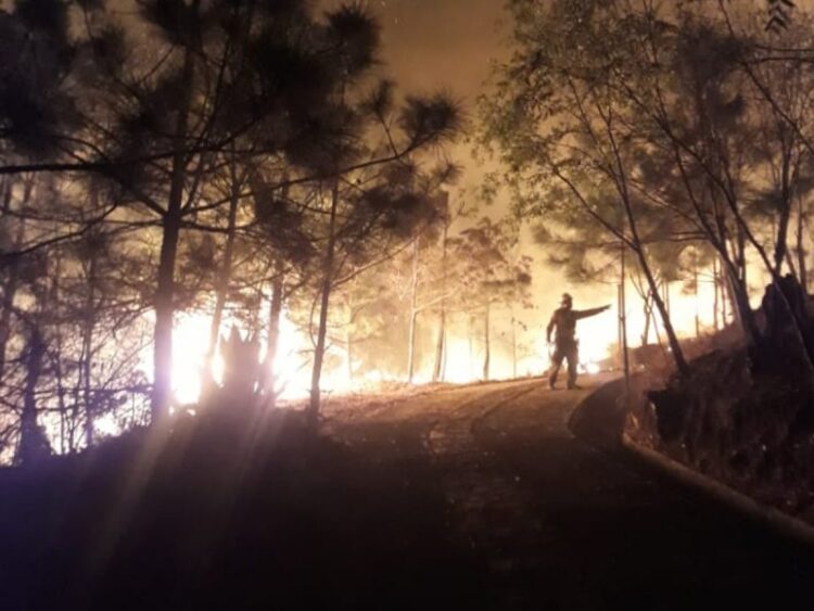 Continúa incendio forestal en Santiago, Nuevo León, ha consumido 4 mil 500 hectáreas