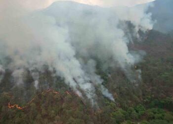 Incendio forestal en El Cielo, Tamaulipas cumple 35 días, 6 mil has. afectadas