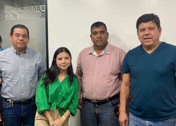 Trae el Partido Verde Experiencia y Ganas de Trabajar en Tampico.