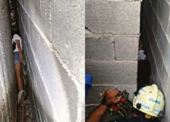 Por rescatar gatitos, niña queda atrapada por dos horas entre dos paredes