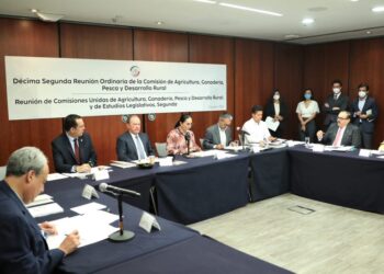 Aprueba Comisión del Senado proyecto para actualizar Carta Nacional Pesquera cada dos años