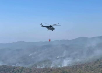 Sofocan 90% incendio forestal en reserva ecológica “El Cielo” en Gómez Farías, Tamaulipas