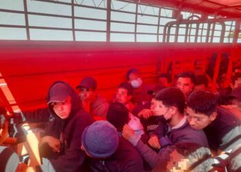 Rescatan a 82 migrantes en remolque ganadero en Coahuila