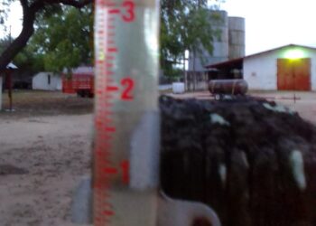 Lluvias del frente frío 45 salvan 732 mil hectáreas de cultivos en norte de Tamaulipas