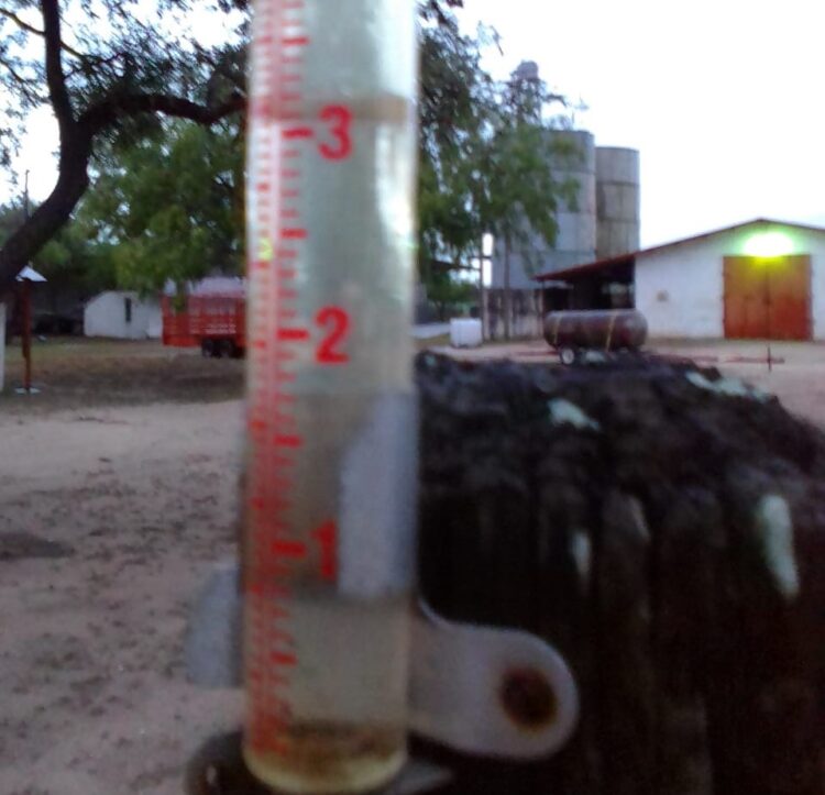 Lluvias del frente frío 45 salvan 732 mil hectáreas de cultivos en norte de Tamaulipas