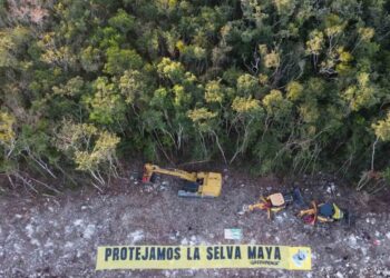 Presentan nuevo amparo contra Tramo 5 del Tren Maya por carecer de Manifestación de Impacto Ambiental