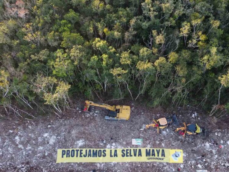 Presentan nuevo amparo contra Tramo 5 del Tren Maya por carecer de Manifestación de Impacto Ambiental