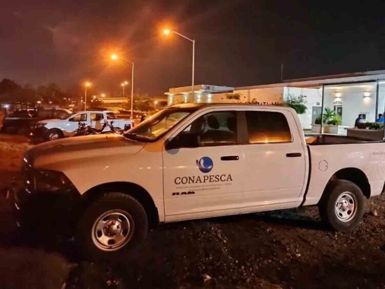 Conapesca colabora en investigaciones contra director de Inspección y Vigilancia