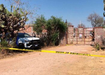 Hallan fosa clandestina con al menos 13 cadáveres en León, Guanajuato