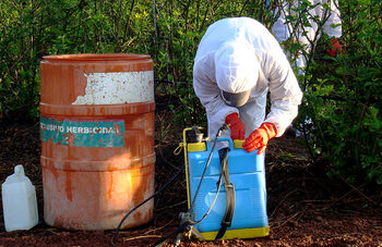 Avanzan México, Estados Unidos y Canadá en armonizar regulación de plaguicidas agrícolas