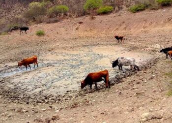 Sequía se extenderá hasta mayo