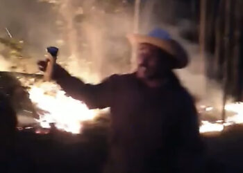 Denuncian ausencia de alcaldes de Jaumave y Ocampo en combate a incendio en “El Cielo”