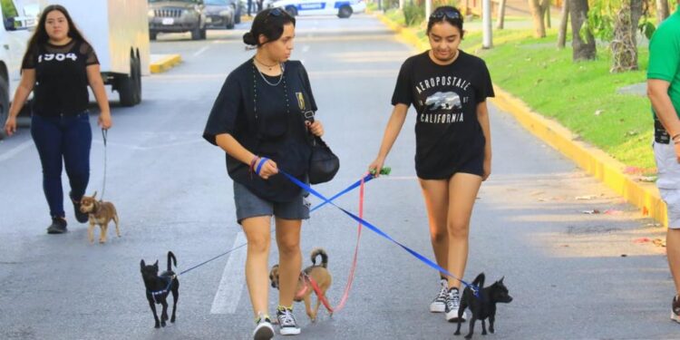 Éxito total en actividades deportivas del Municipio durante la Semana Santa