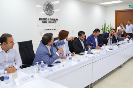 Inicia Comisión Instructora declaración de procedencia en contra Diputada de Morena, sobrina de AMLO