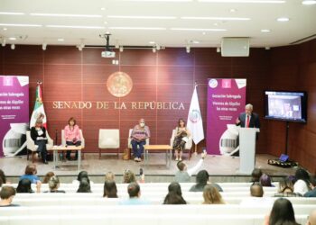 Analizan impedir que alquiler de vientres se convierta en una forma de explotación