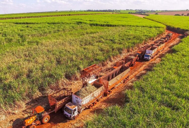 México tiene suficiente de azúcar para el abasto nacional y exportaciones