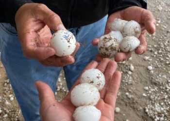 Cae granizo del tamaño de un huevo en Arteaga, Coahuila