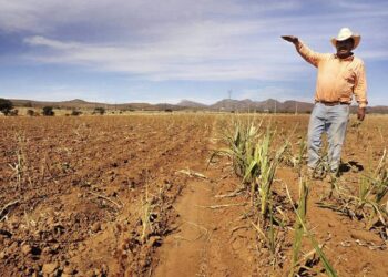Escasea el agua en el 81% del territorio nacional, revela CONAGUA