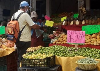 Baja precio de limón de 80 a 24 pesos en sur de Tamaulipas