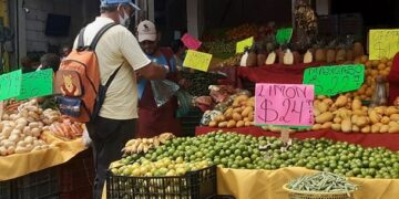 Baja precio de limón de 80 a 24 pesos en sur de Tamaulipas